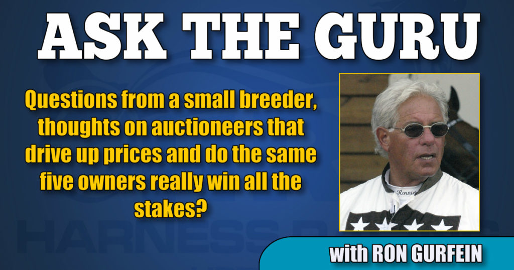 Questions from a small breeder, thoughts on auctioneers that drive up prices and do the same five owners really win all the stakes?