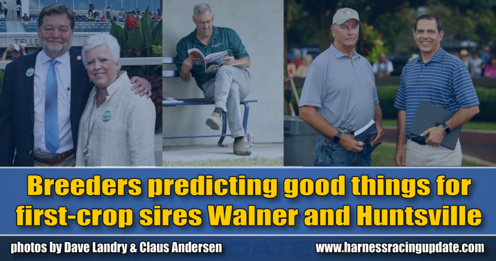 Breeders predicting good things for first-crop sires Walner and Huntsville