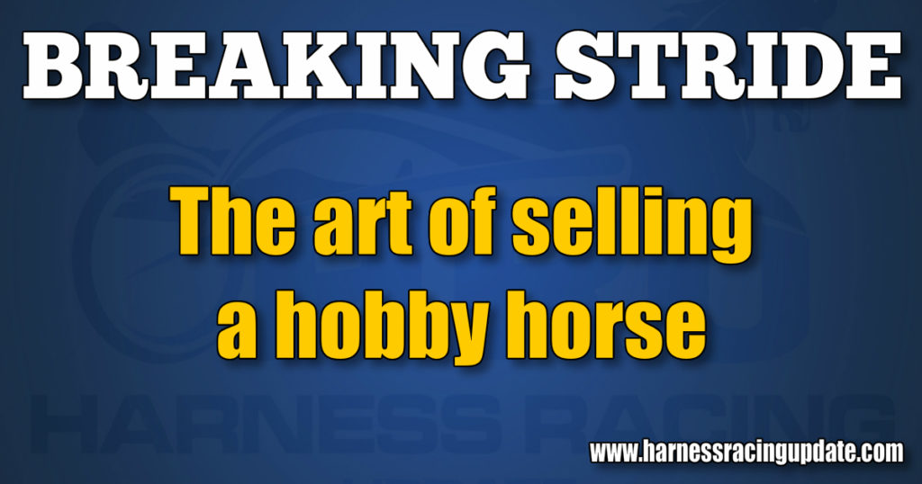The art of selling a hobby horse