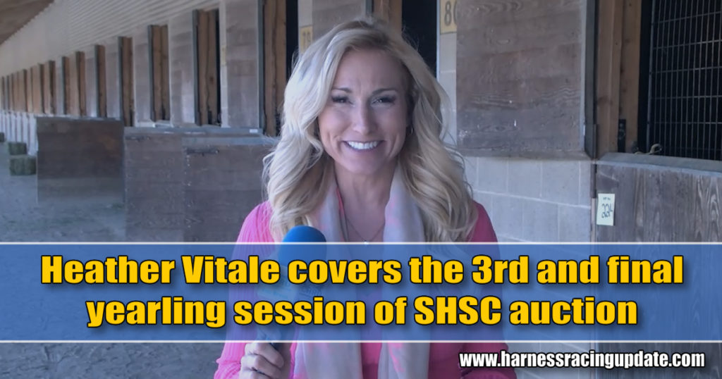 Heather Vitale covers the 3rd and final yearling session of SHSC auction