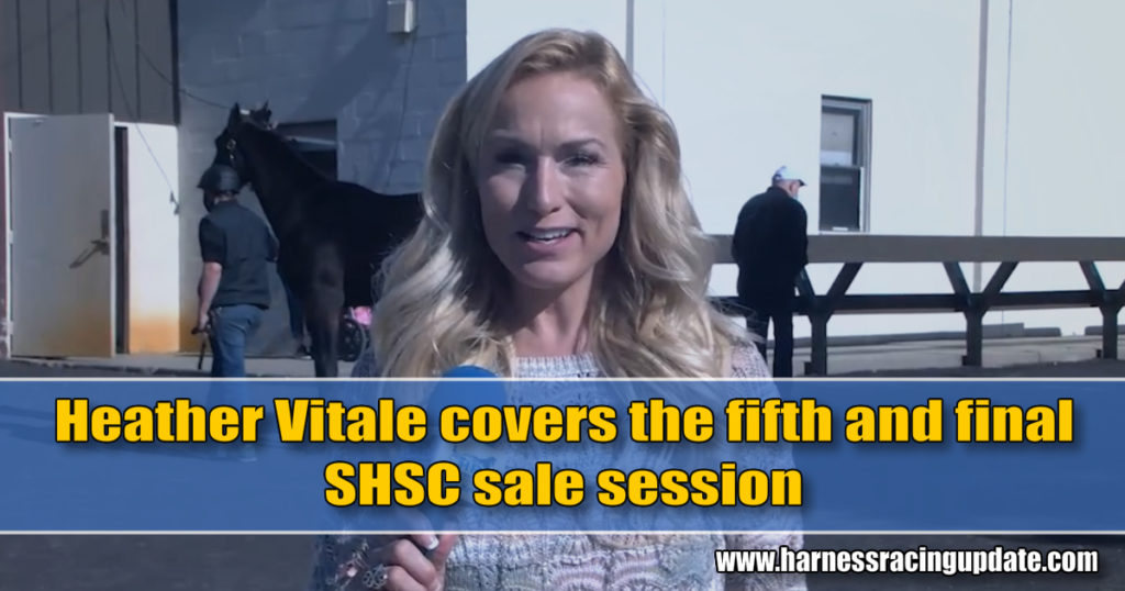 Heather Vitale covers the fifth and final SHSC sale session