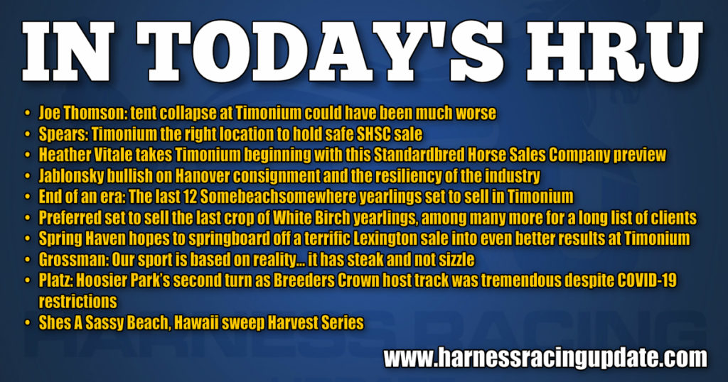 Timonium the right location to hold safe SHSC sale