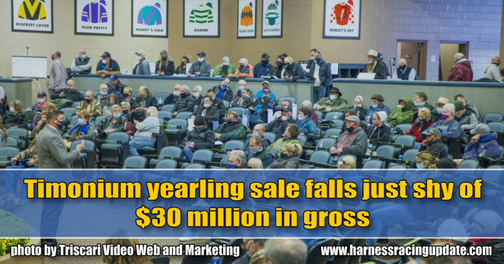 Timonium yearling sale falls just shy of $30 million in gross