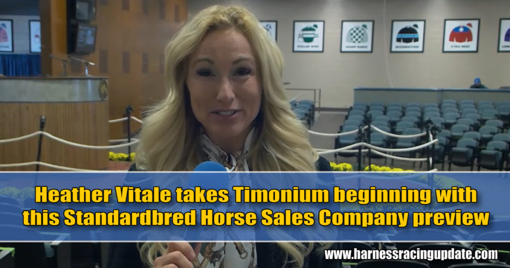 Heather Vitale takes Timonium beginning with this Standardbred Horse Sales Company preview