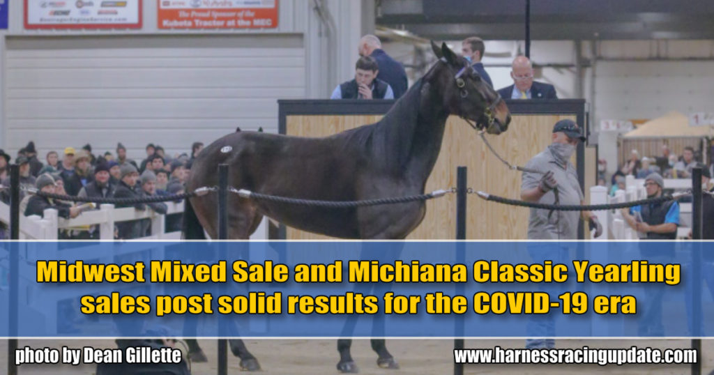 Midwest Mixed Sale and Michiana Classic Yearling sales post solid results for the COVID-19 era