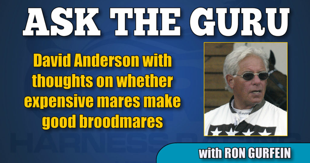 David Anderson with thoughts on whether expensive mares make good broodmares