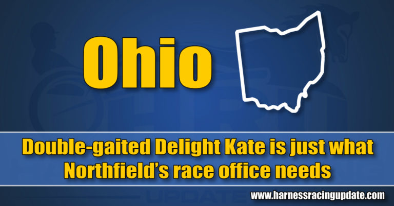 Double-gaited Delight Kate is just what Northfield’s race office needs