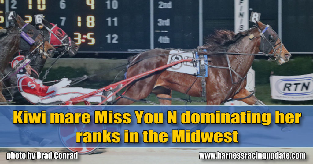 Kiwi mare Miss You N dominating her ranks in the Midwest