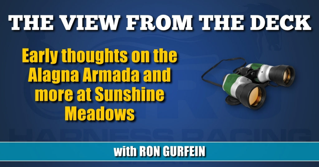 Early thoughts on the Alagna Armada and more at Sunshine Meadows