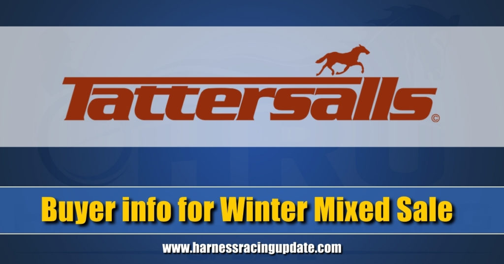 Buyer info for Winter Mixed Sale