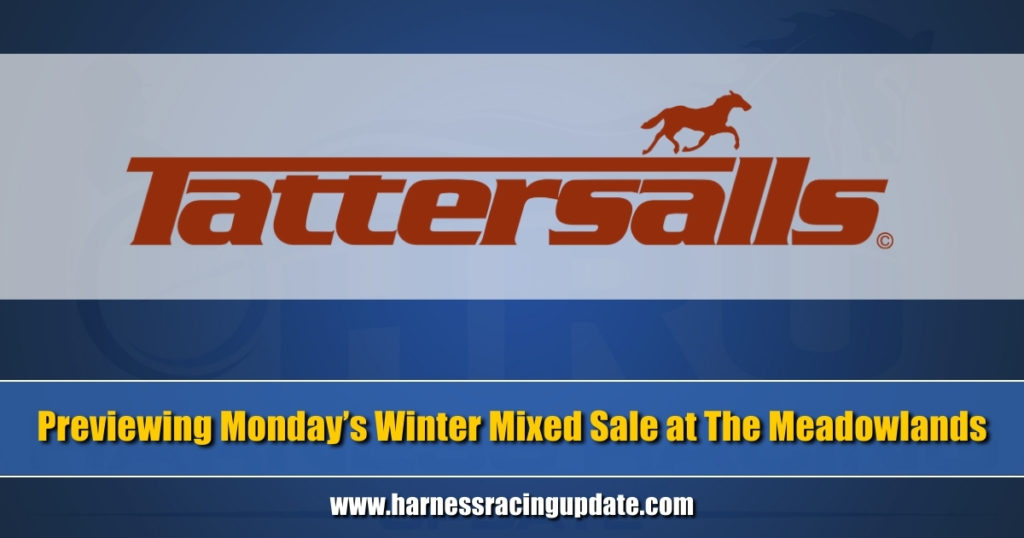Previewing Monday’s Winter Mixed Sale at The Meadowlands
