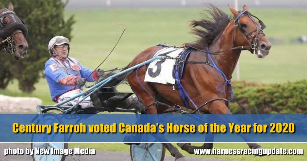 Century Farroh voted Canada’s Horse of the Year for 2020
