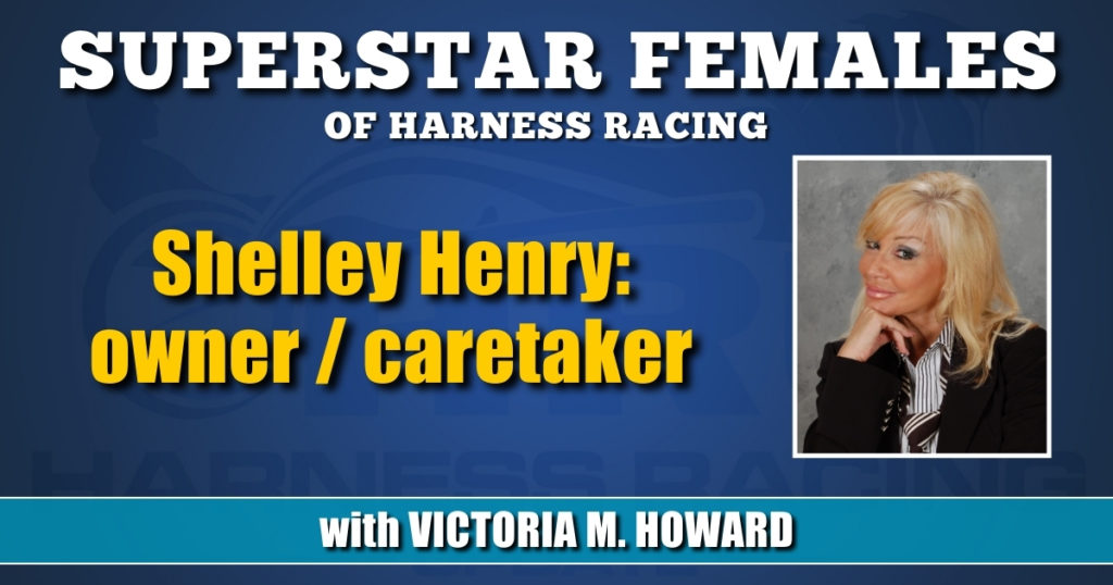 Shelley Henry — owner / caretaker