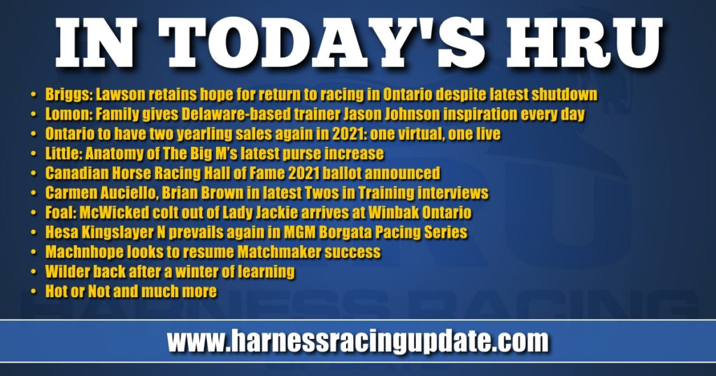 Ontario to have two yearling sales again in 2021 — one virtual, one live