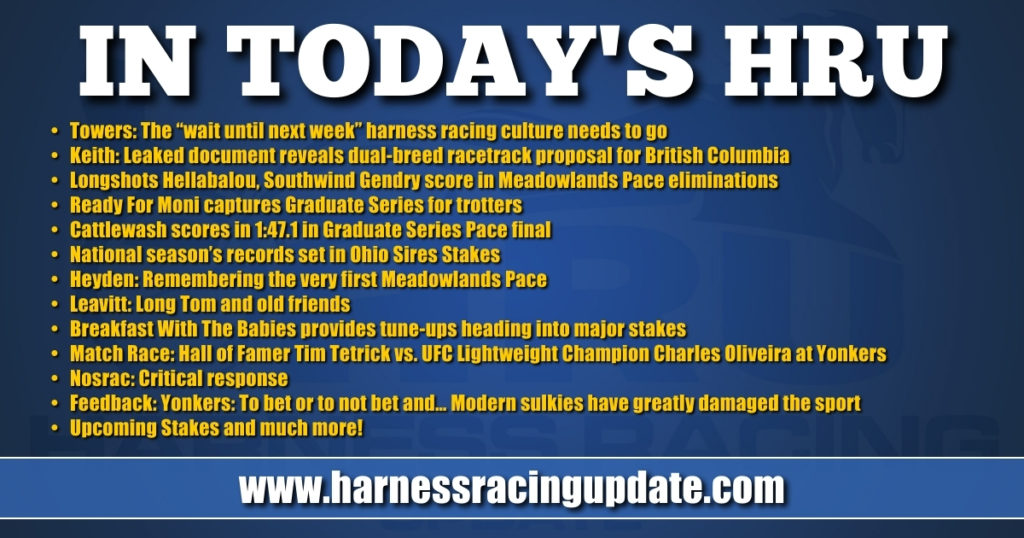 Leaked document reveals dual-breed racetrack proposal for BC Leaked document reveals dual-breed racetrack proposal for BC