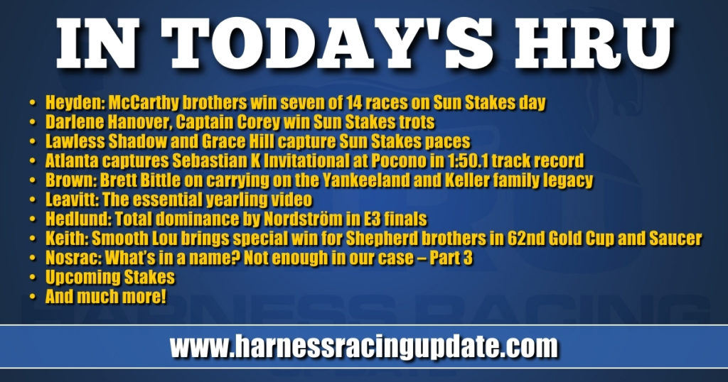 Smooth Lou delivers special Gold Cup and Saucer win for Shepherd brothers Smooth Lou delivers special Gold Cup and Saucer win for Shepherd brothers