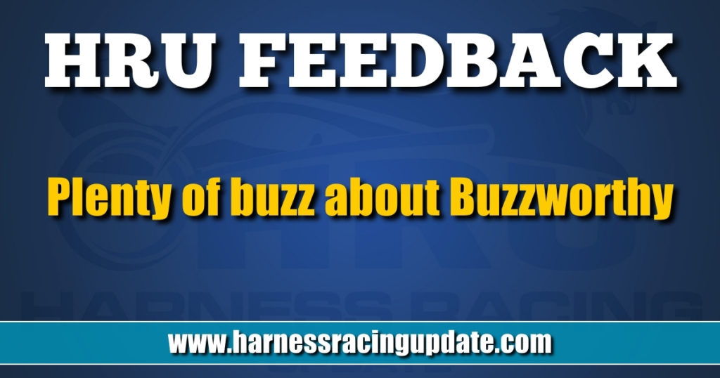 Plenty of buzz about Buzzworthy