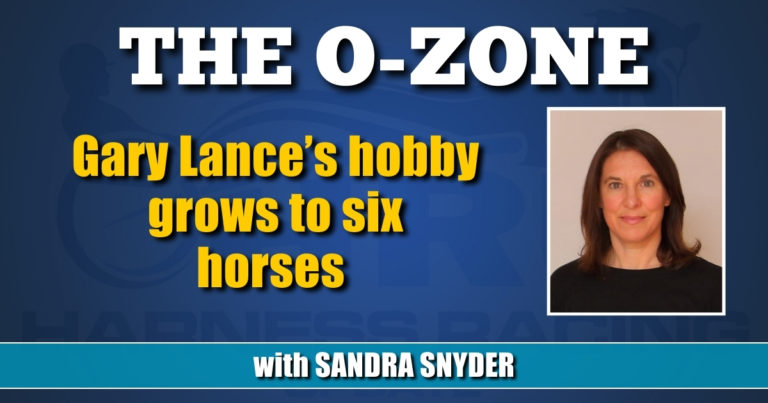 Gary Lance’s hobby grows to six horses