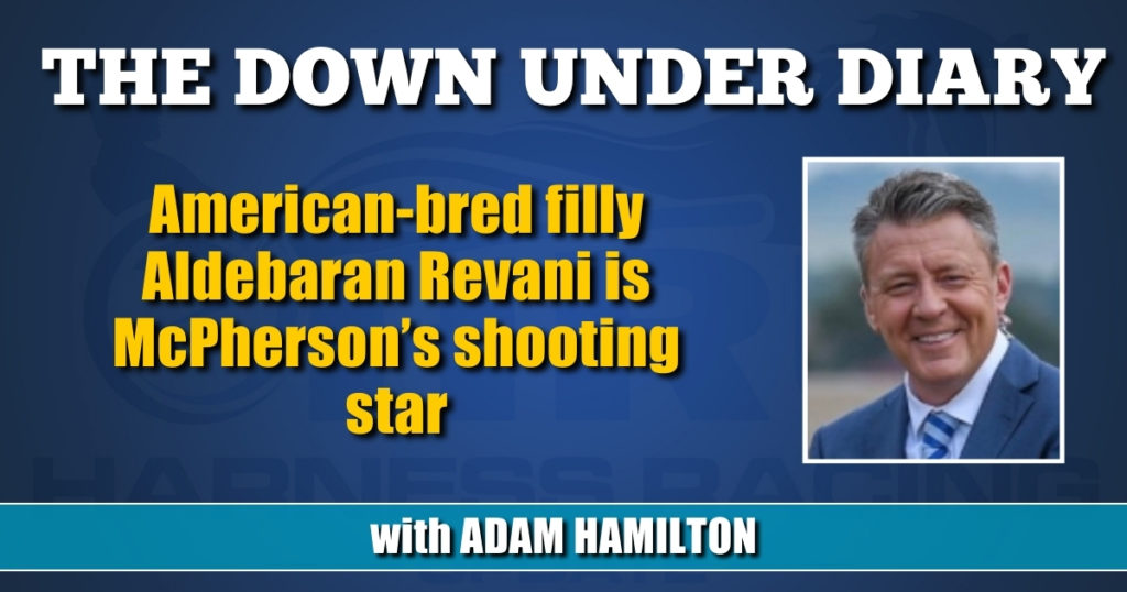 American-bred filly Aldebaran Revani is McPherson’s shooting star