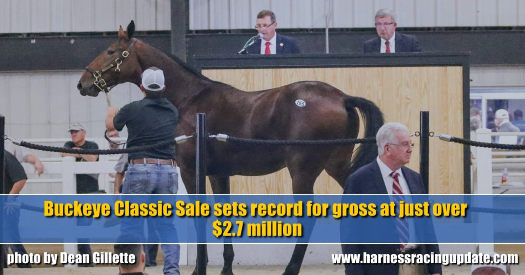 Buckeye Classic Sale sets record for gross at just over $2.7 million