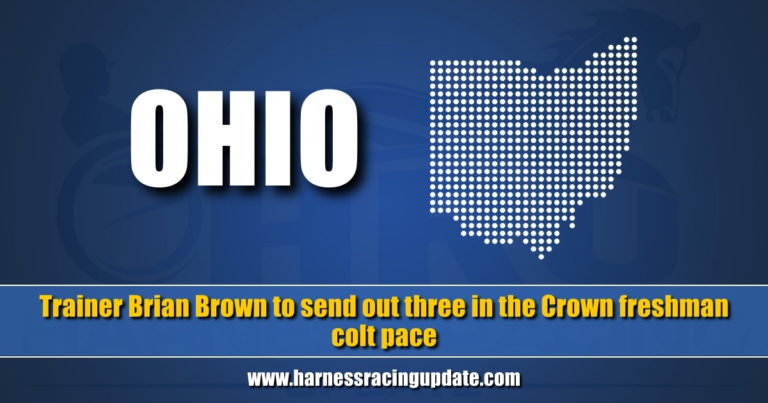 Trainer Brian Brown to send out three in the Crown freshman colt pace