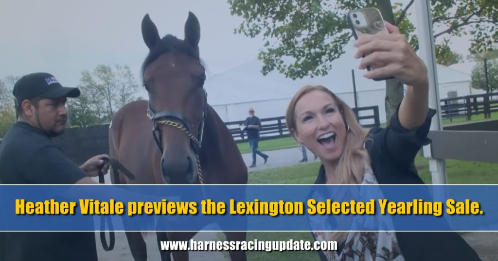 Heather Vitale previews the Lexington Selected Yearling Sale.