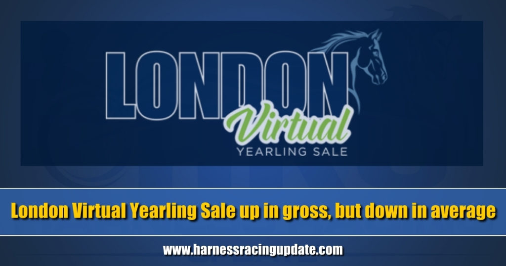 London Virtual Yearling Sale up in gross, but down in average