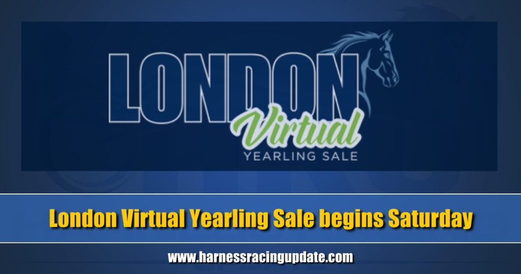 London Virtual Yearling Sale begins Saturday