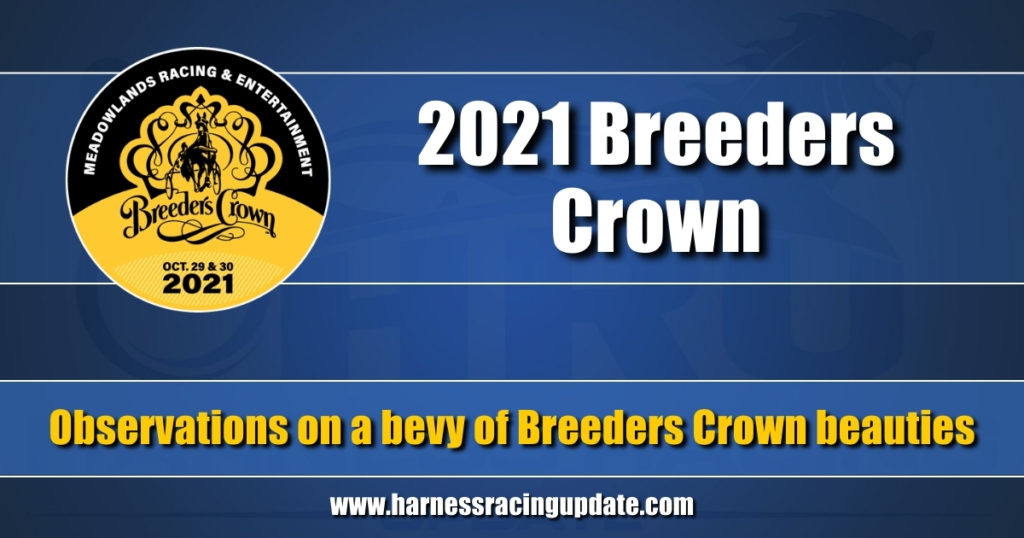 Observations on a bevy of Breeders Crown beauties