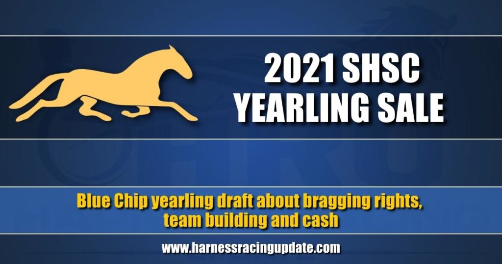Blue Chip yearling draft about bragging rights, team building and cash