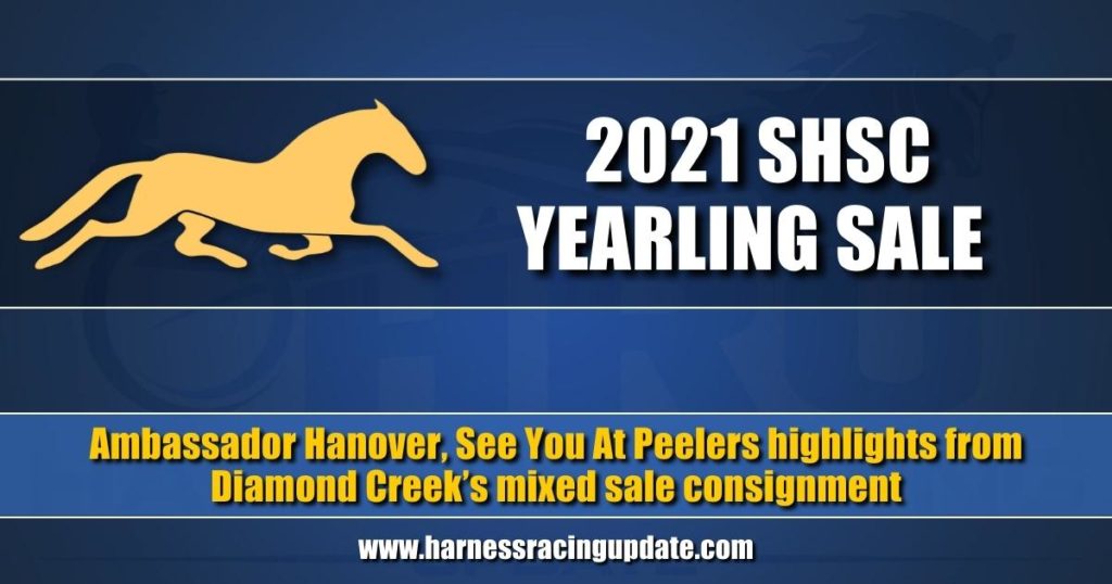Ambassador Hanover, See You At Peelers highlights from Diamond Creek’s mixed sale consignment