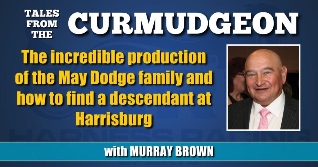 The incredible production of the May Dodge family and how to find a descendant at Harrisburg