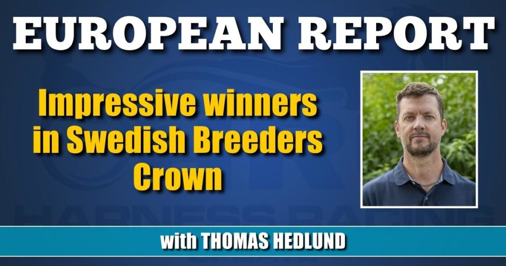 Impressive winners in Swedish Breeders Crown