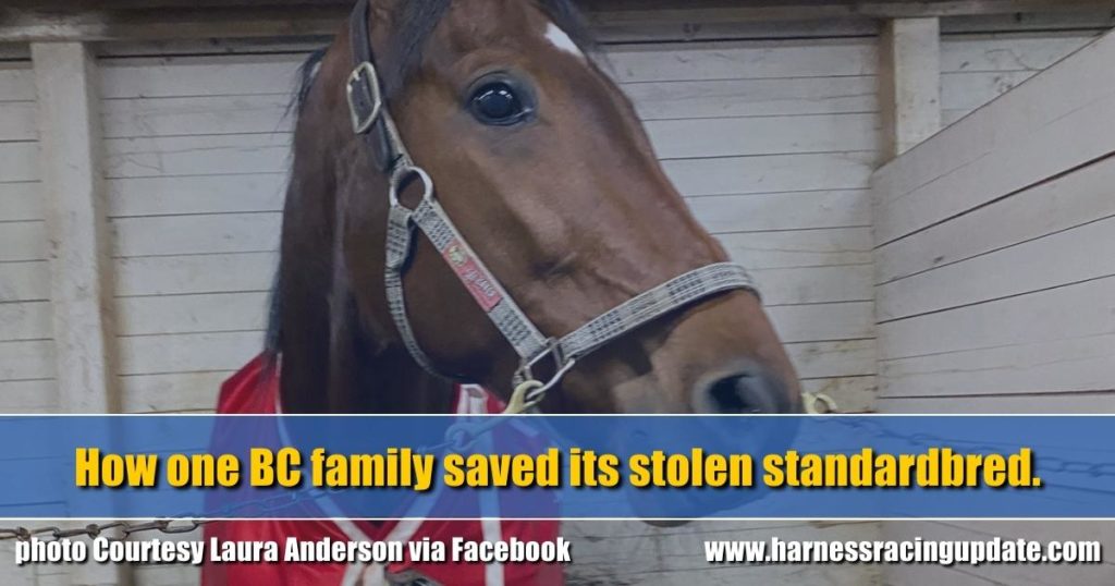 How one BC family saved its stolen standardbred.