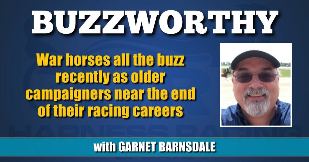 War horses all the buzz recently as older campaigners near the end of their racing careers