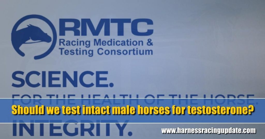 Should we test intact male horses for testosterone?