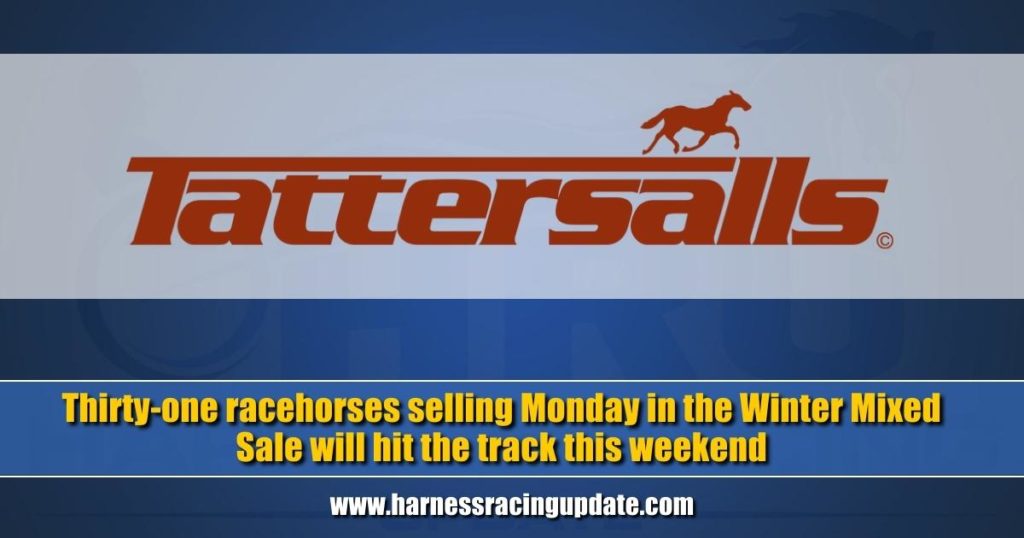 Thirty-one racehorses selling Monday in the Winter Mixed Sale will hit the track this weekend