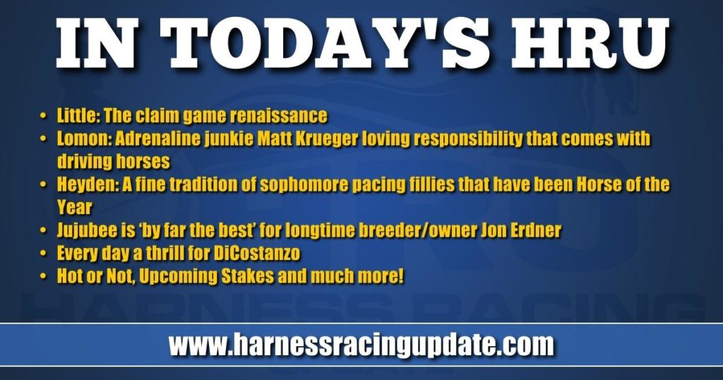 Adrenaline junkie Matt Krueger loving responsibility that comes with driving horses Adrenaline junkie Matt Krueger loving responsibility that comes with driving horses