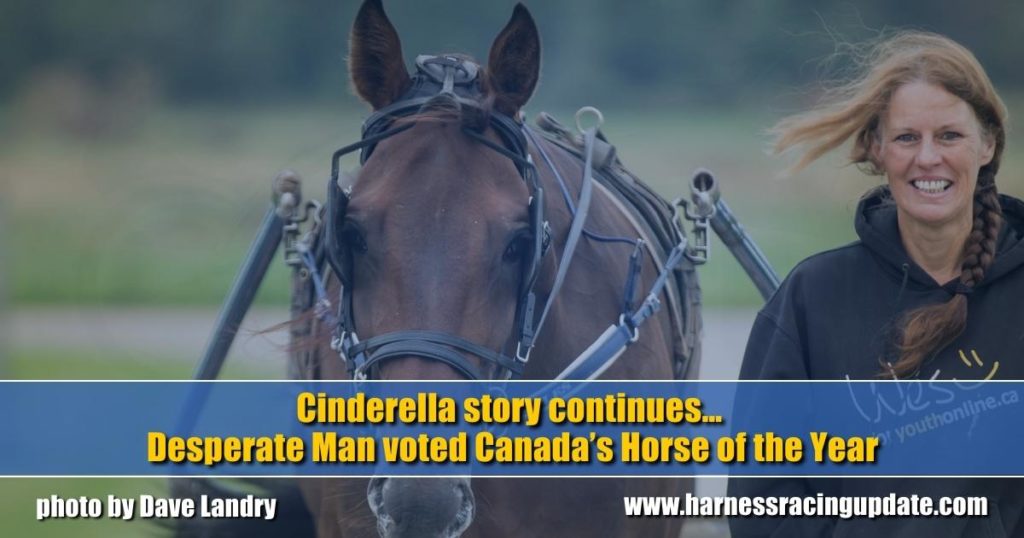 Cinderella story continues… Desperate Man voted Canada’s Horse of the Year