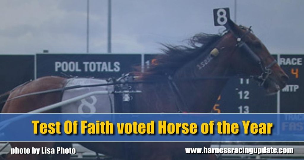 Test Of Faith voted Horse of the Year