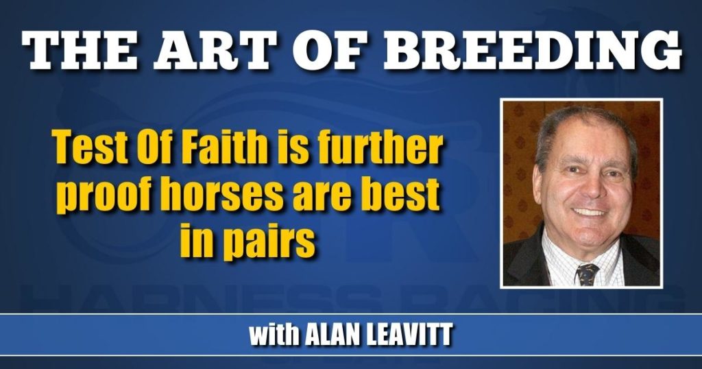 Test Of Faith is further proof horses are best in pairs