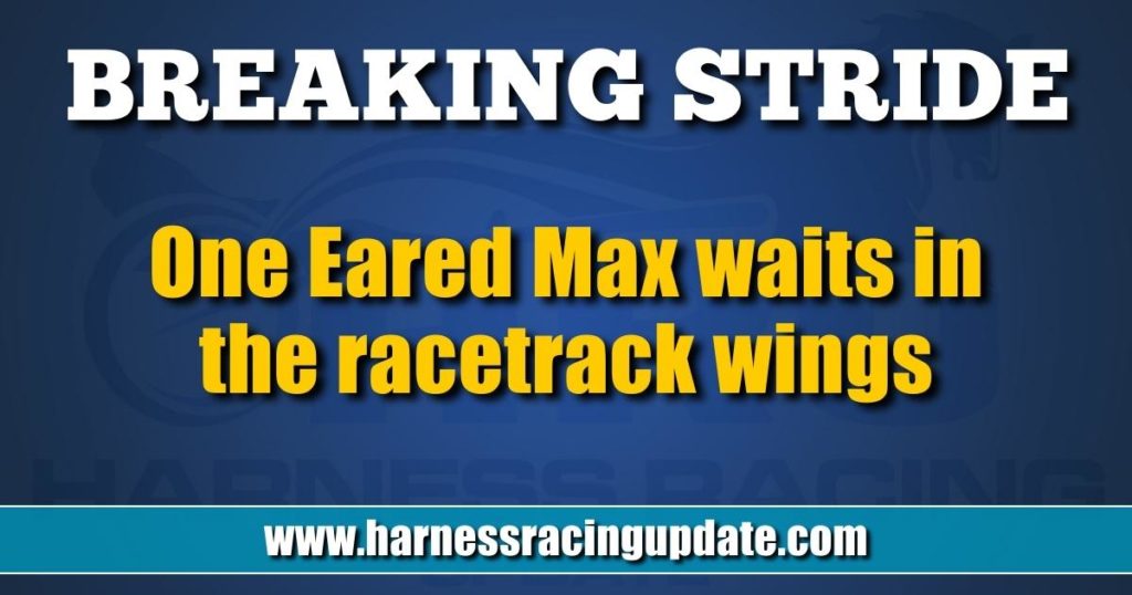One Eared Max waits in the racetrack wings