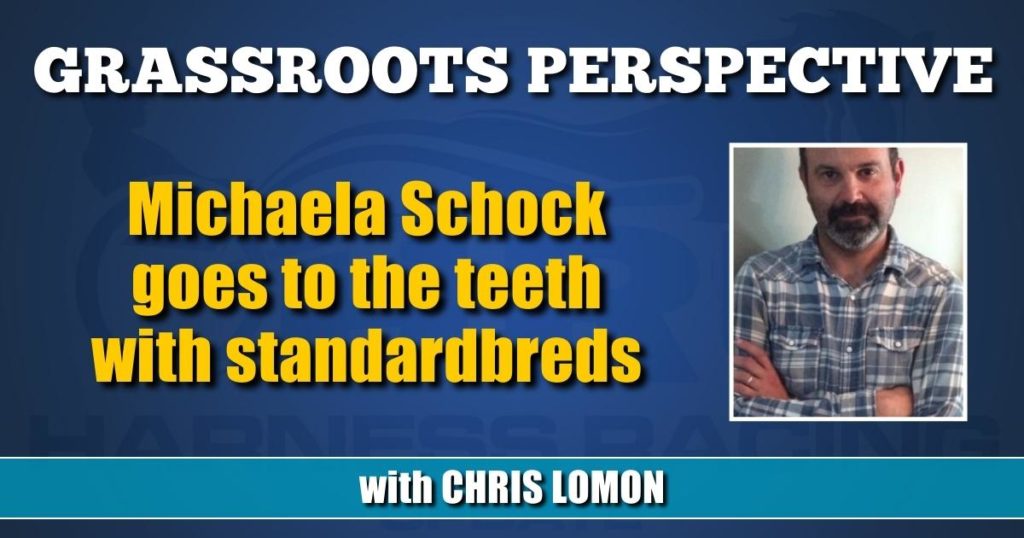 Michaela Schock goes to the teeth with standardbreds