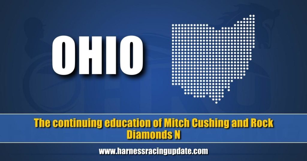 The continuing education of Mitch Cushing and Rock Diamonds N