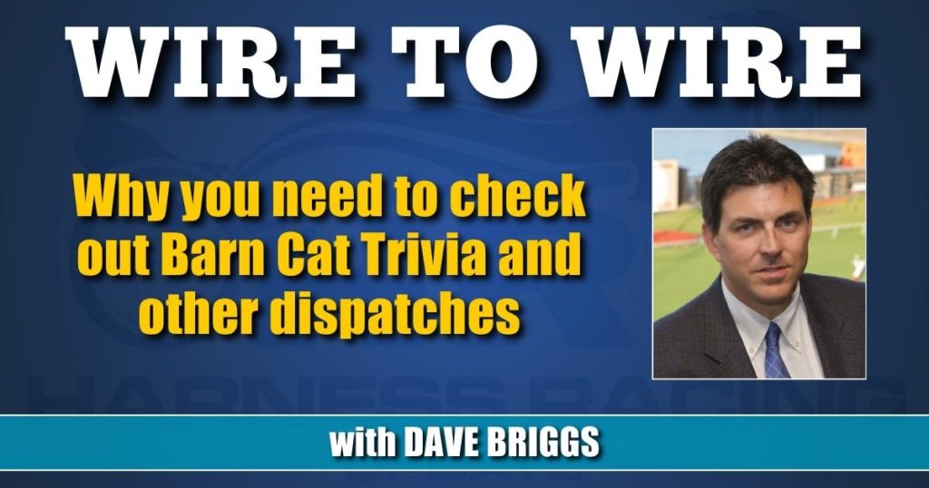 Why you need to check out Barn Cat Trivia and other dispatches
