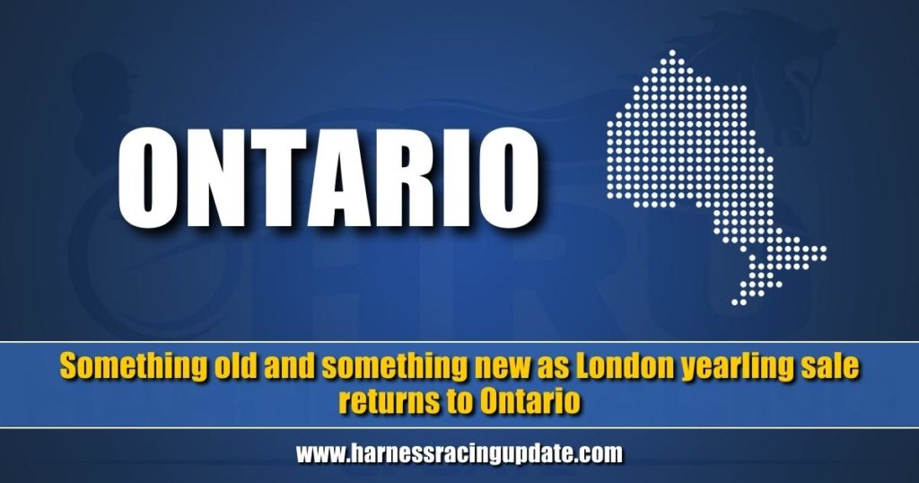 Something old and something new as London yearling sale returns to Ontario