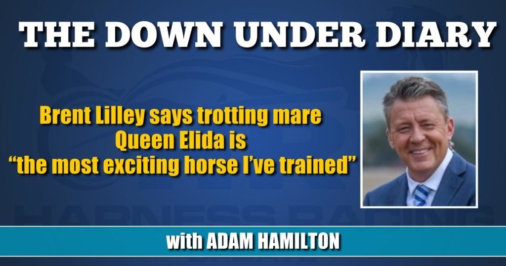 Brent Lilley says trotting mare Queen Elida is “the most exciting horse I’ve trained”