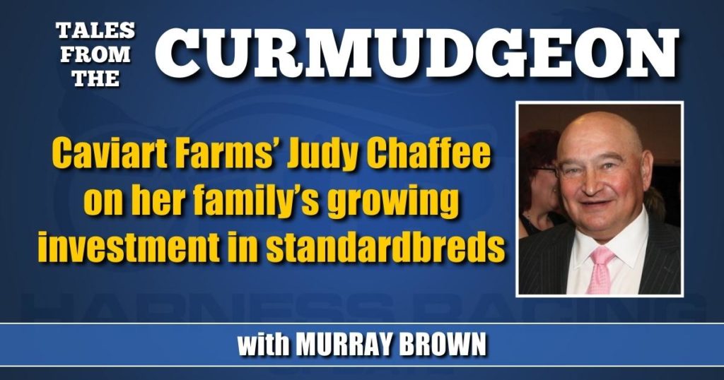 Caviart Farms’ Judy Chaffee on her family’s growing investment in standardbreds
