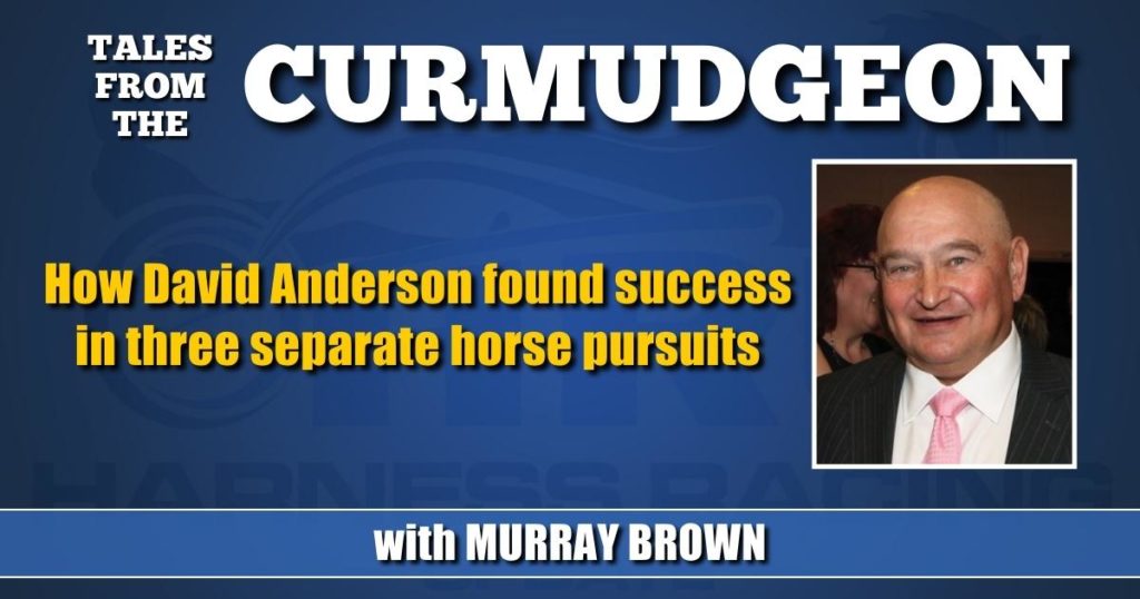 How David Anderson found success in three separate horse pursuits