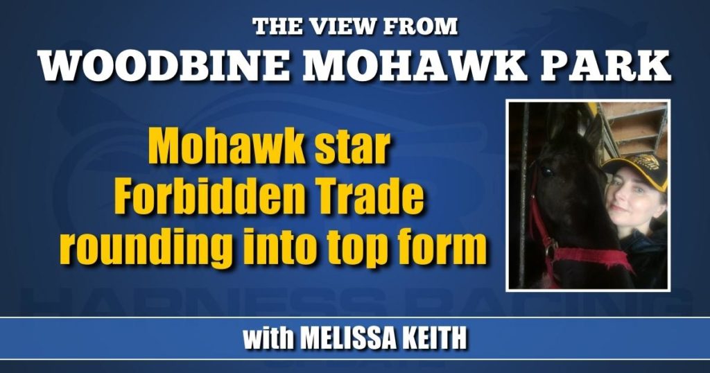 Mohawk star Forbidden Trade rounding into top form